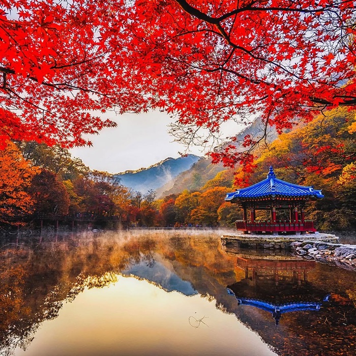 Hình ảnh yên bình của vườn quốc gia Naejangsan. Nguồn: mygoodlife_korea
