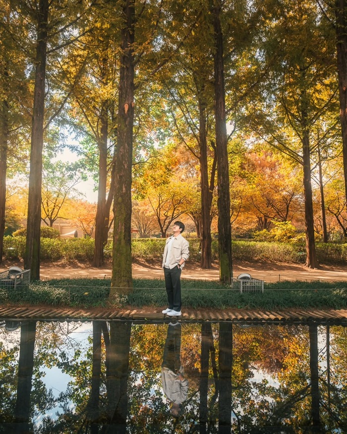 Ghé thăm khu vực hồ nước trung tâm trong Rừng Seoul Forest.Nguồn: joong.h_lee