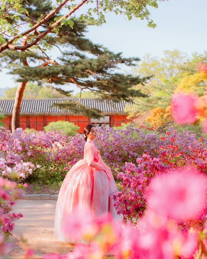 Gam màu pastel của Hanbok rất hợp khung cảnh Changdeokgung. Nguồn: pic_shine