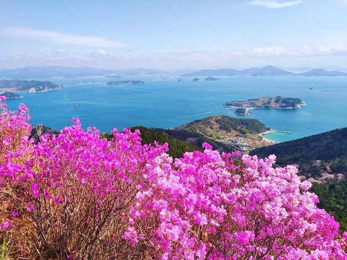 Chiêm ngưỡng cảnh giao thoa giữa núi và biển đầy lôi cuốn. Nguồn: tingthewanderlust