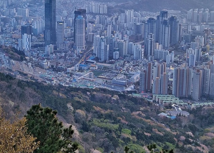 Busan có núi gì? Top các ngọn núi thu hút du khách