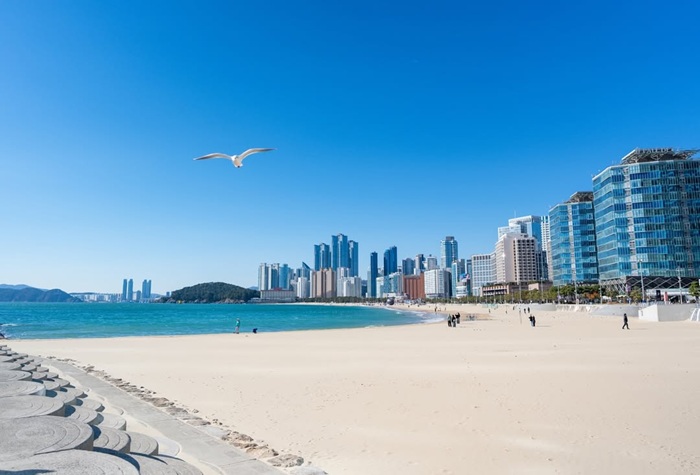 Bãi biển Haeundae rực rỡ nắng xuân bên bờ cát trắng. Nguồn: fox.ht.music815
