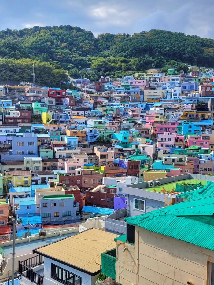 Khám phá mê cung sắc màu tại làng văn hóa Gamcheon Busan. Nguồn: toni.td