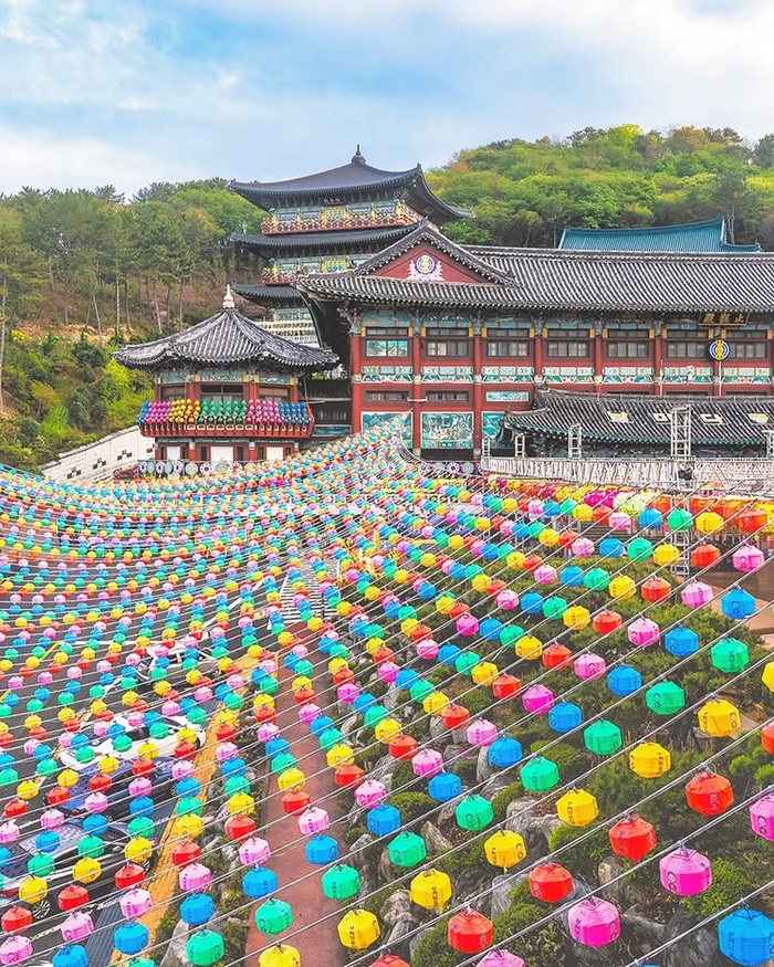 Hàng ngàn chiếc đèn lồng đa sắc màu tại chùa Samgwangsa. Nguồn: visitkorea_travel