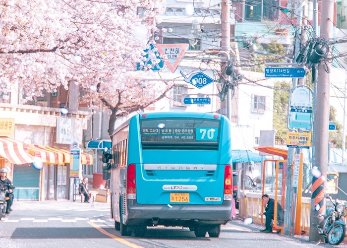 Tổng hợp 15 địa điểm nhất định phải đến khi đi du lịch Busan mùa xuân